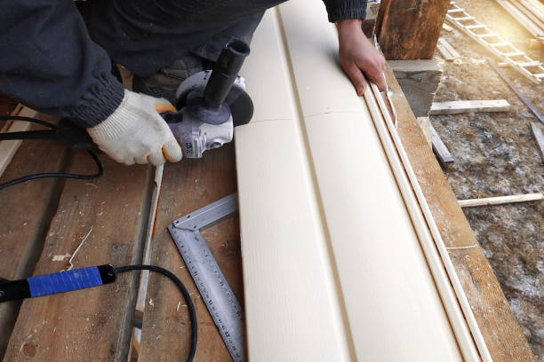 Best Custom Siding Design  in Beechwood, MI