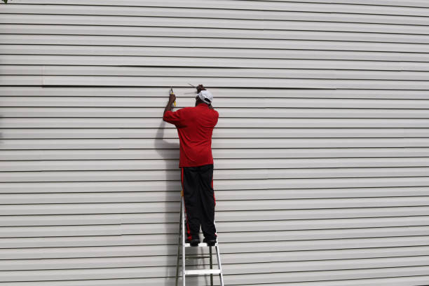 Best Steel Siding Installation  in Beechwood, MI