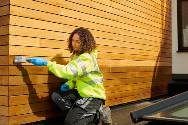 Best Vinyl Siding Installation  in Beechwood, MI