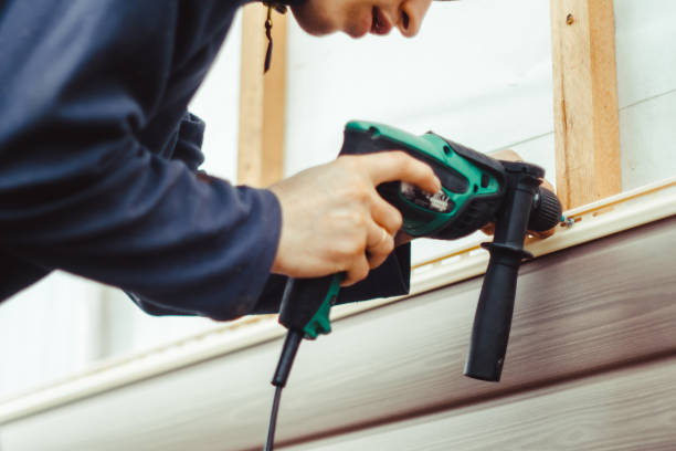 Affordable Siding Repair and Maintenance Services in Beechwood, MI